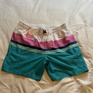 Men's Teal & Pink Stripe Swim Trunks
